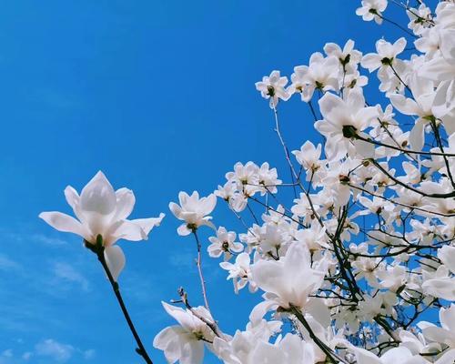 从温暖的小细节看爱（人间真情暖心事）