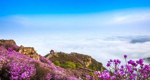 春天旅行（放下烦恼，把美好带回家）