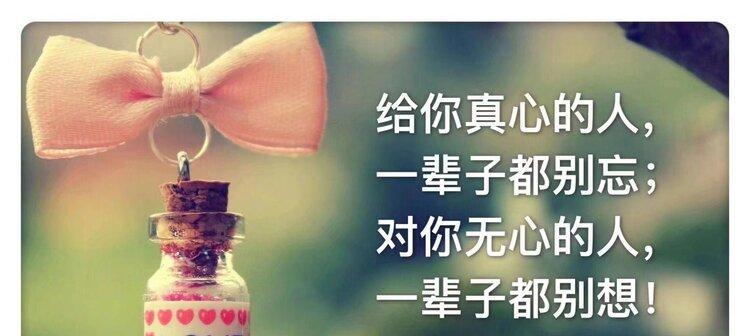 荒野里的惊奇（一个人的感恩之旅）
