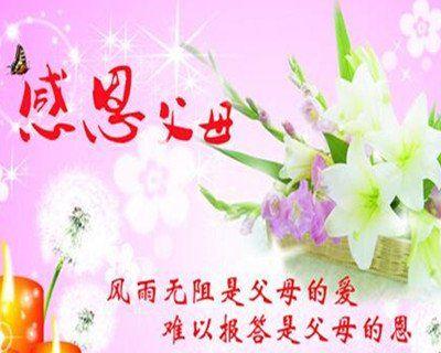感恩父母（用心守候）