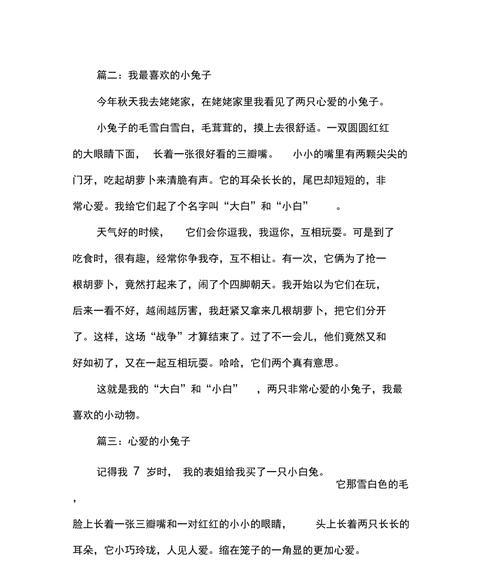 小白兔的奇幻冒险