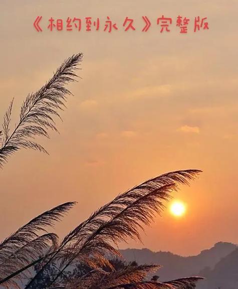 跨越时空的相遇（与陌生人一起感受旅途中的美好）