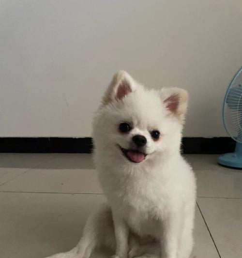 在小事中找到生命的意义（在小事中找到生命的意义）