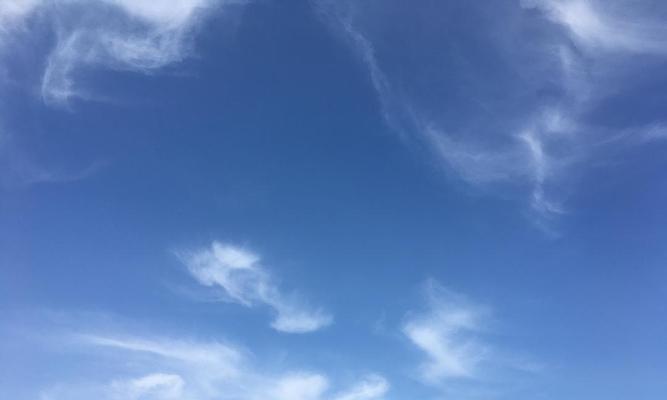 我是一只自由的风筝