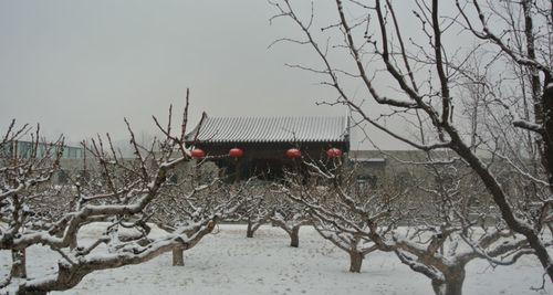 春雨催花开（喜雨长久）