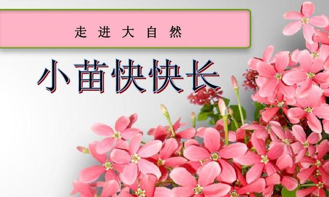 深入大自然，重新发现生命（在大自然中，我看到了什么？）