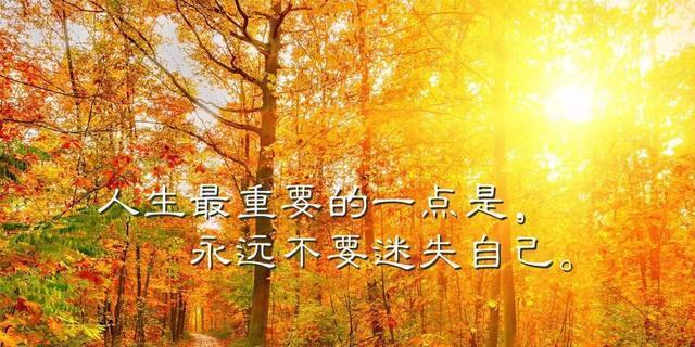FindingYourselfintheWilderness（ATaleofSelf-DiscoveryandGrowth）