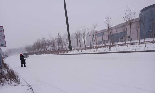 冬季里的勇者（鹅毛大雪飘着，他却在为别人保暖）