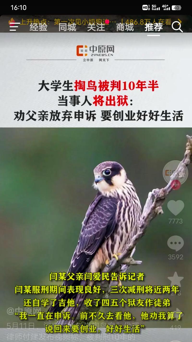 追寻梦想的十年（大学生的故事）
