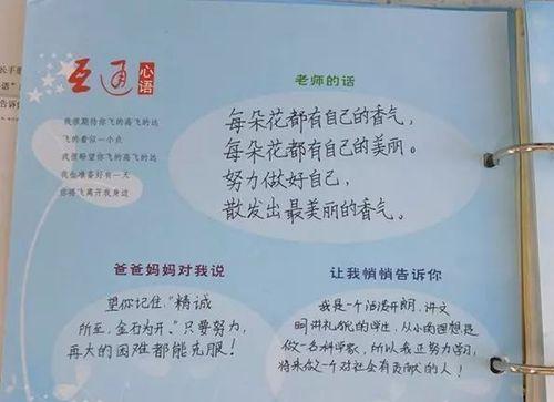 成长的旅程（一个少年的奋斗之路）