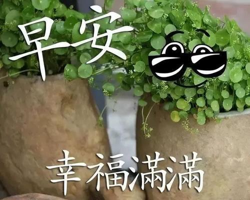 感恩之心（以怀抱一颗感恩的心，让生命更加美好）
