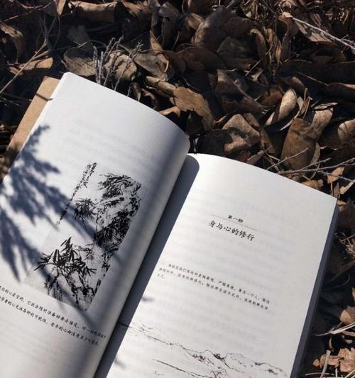 岁月知己（友谊之源）