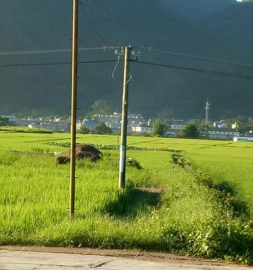 我的故乡