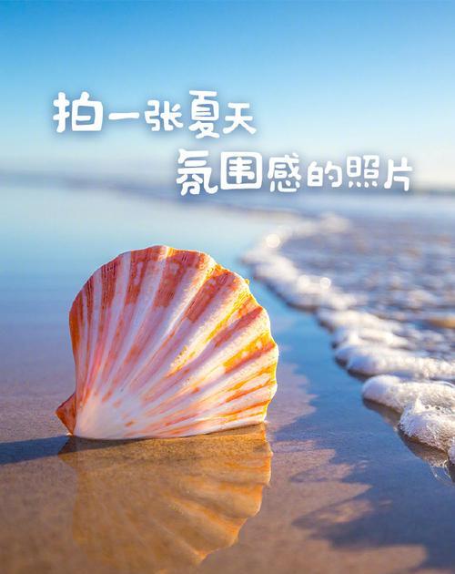 快乐之路——以心灵之光照亮前行