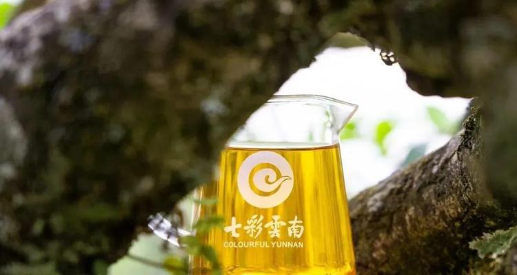 入眠之香（沉迷于木香的诱惑）