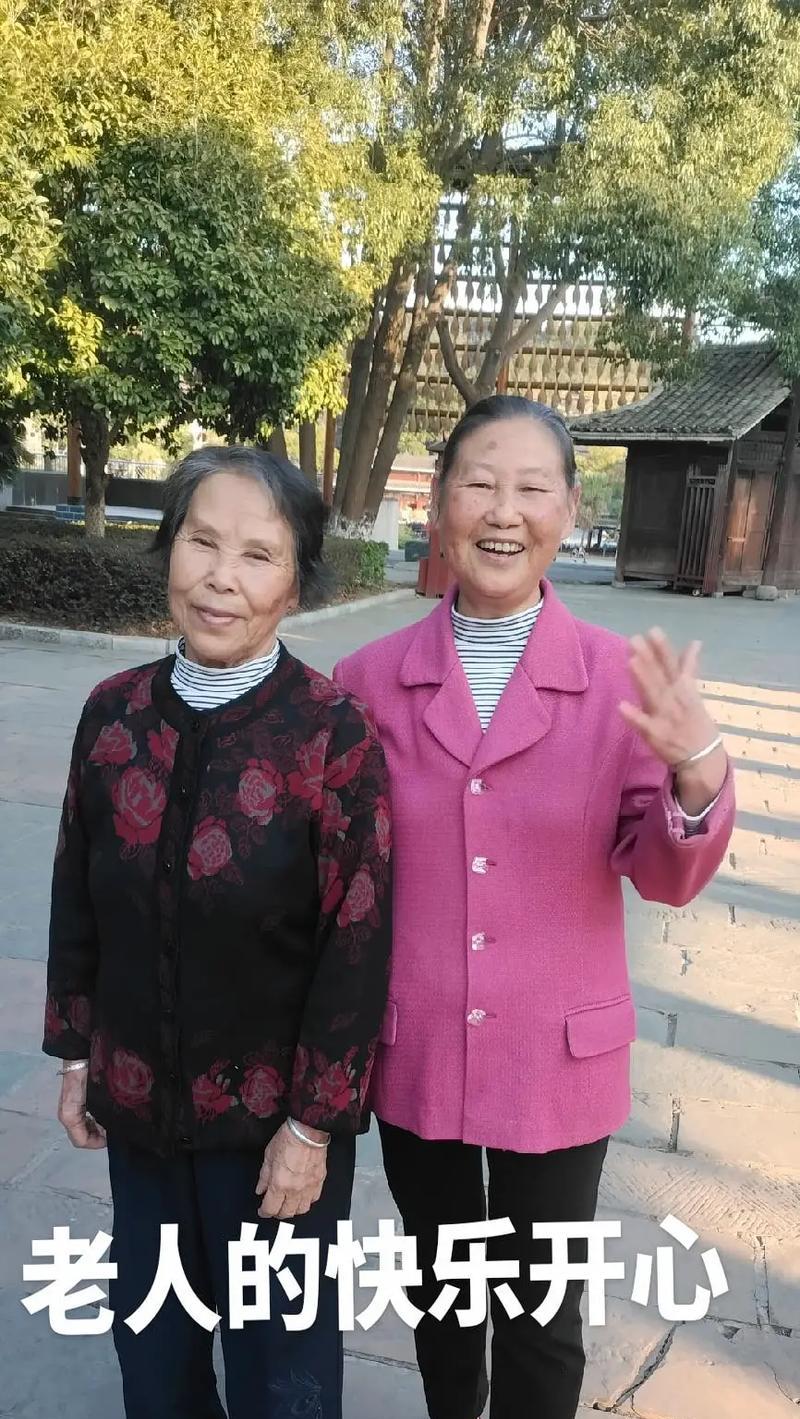 尘埃落定时，乐趣方显（写作的魅力）