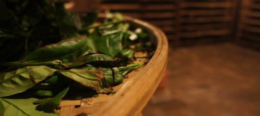 回味无穷的糖葫芦（小小的美食，大大的滋味）