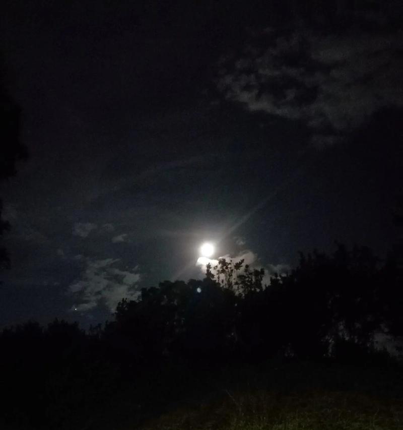 那个夜晚，她在月光下遇见了他（那个夜晚，她在月光下遇见了他）