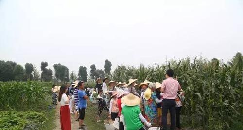 满足归去（内心的渴望和梦想）