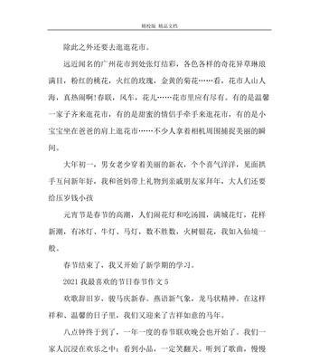 春节游园记——难忘的欢乐时光