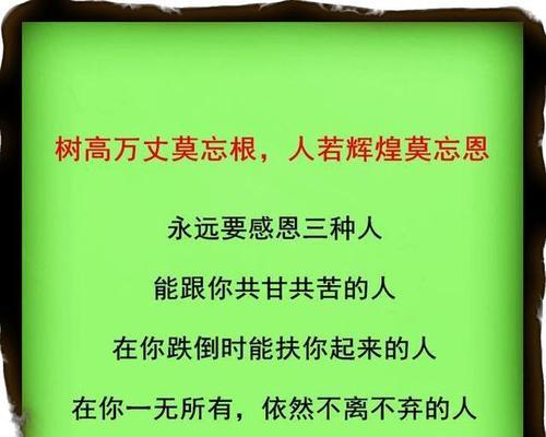 一只羽毛的故事（知恩图报，感恩有你）