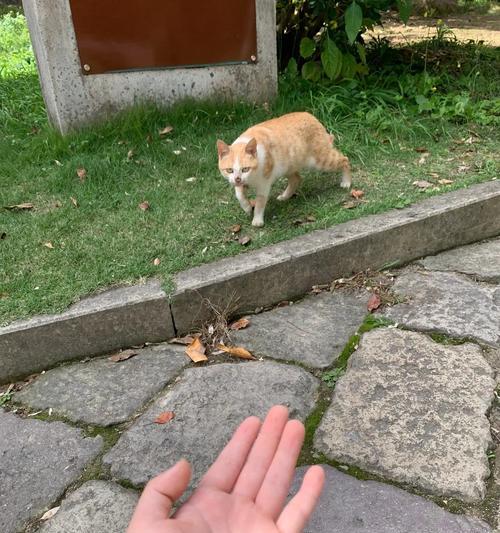 ThePowerofHope:AStoryofDesperateNeedandUnexpectedHelp