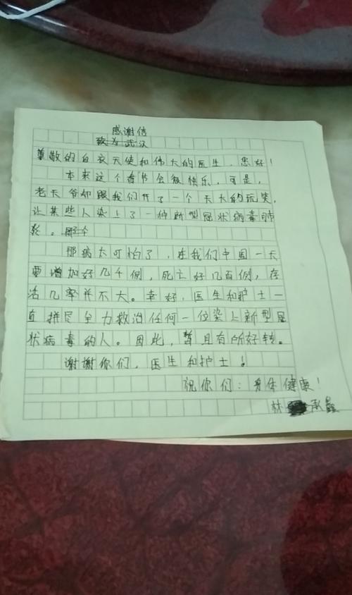 白衣天使的人生抉择（面对疫情，她选择了担当）