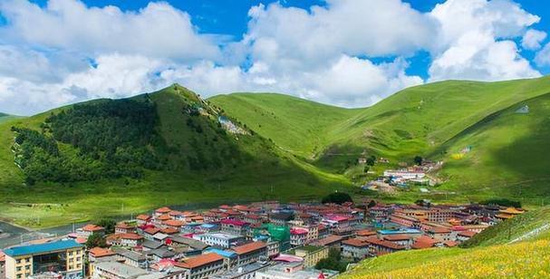 亲情是最美的风景