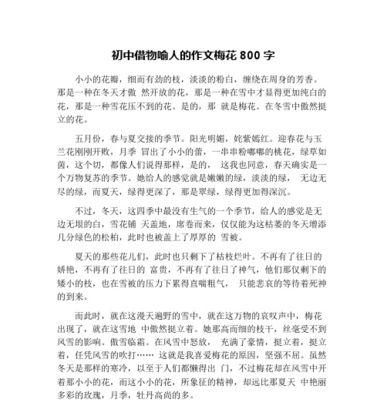 镜子（人物塑造中的魅力）