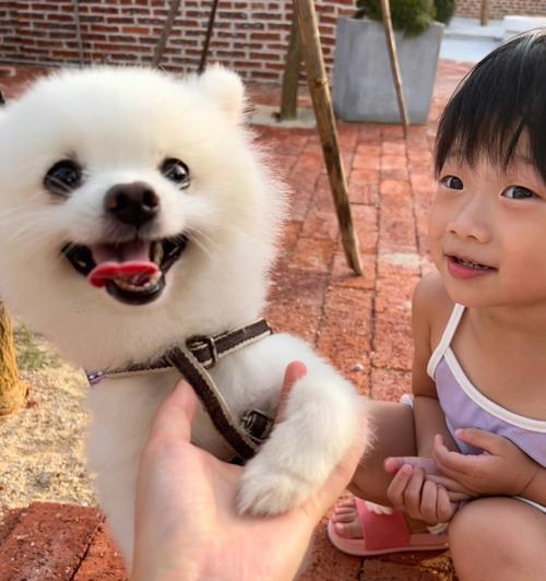 我和我的狗狗（一只可爱的小狗带给我无尽的欢乐）