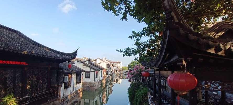生命之彩——一个色彩缤纷的故事