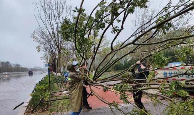 逆行之美——一位女子的自由奔跑（挑战常规，敢为自己）