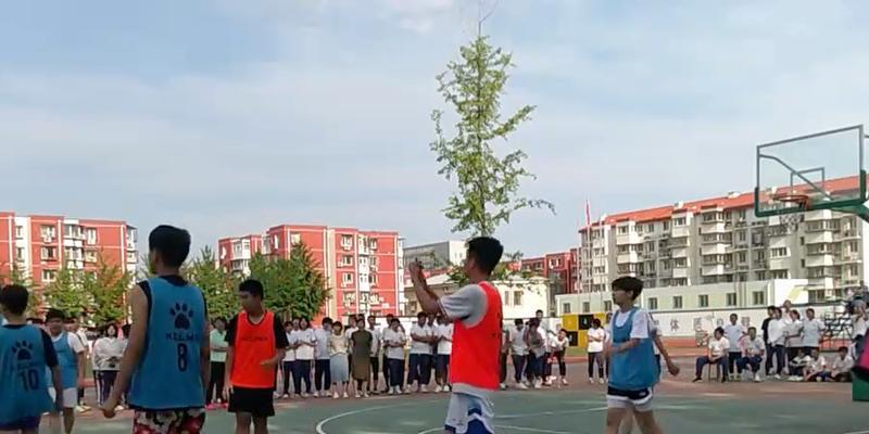 汗水与笑容（一个为梦想而奋斗的青年）