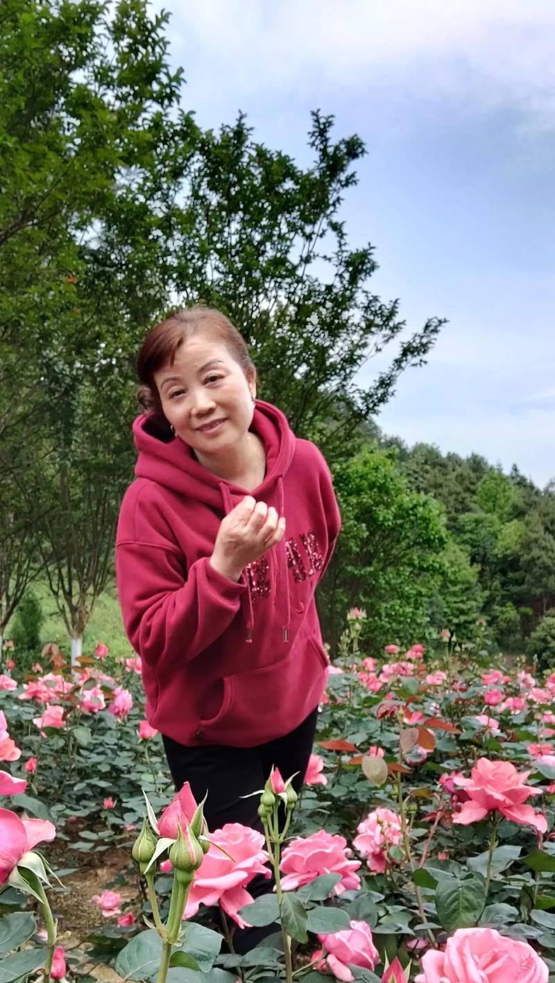 情人节不只是情人的节日（情人节不只是情人的节日）