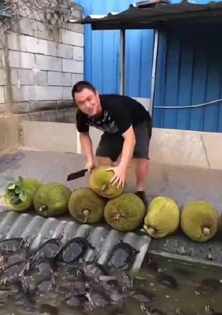 我家还缺啥？（寻找家庭完美配件）