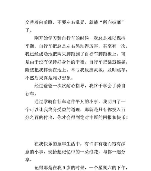 一场赛车比赛（用汗水和勇气闪耀胜利）