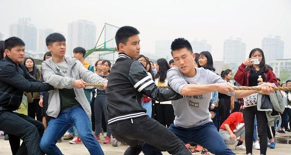 拔河比赛，力量与团结的碰撞（两个团队的故事）