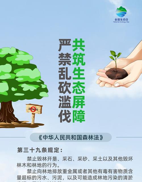 环保从身边做起（一位普通人的环保之路）