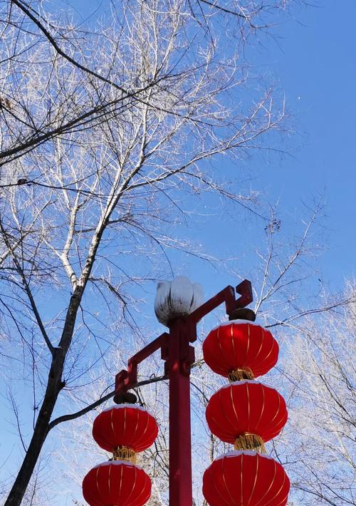奋斗成就梦想（坚持与努力是成功之路）