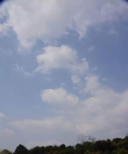 校园美如画（重温青春记忆）