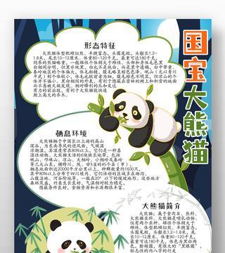 小故事熊猫之谜