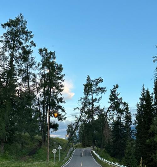 亲情如山——记我和我的儿子