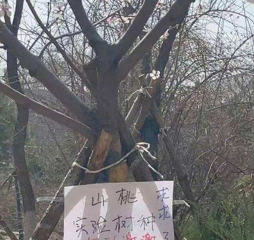 人生的真谛在哪里？（人生的真谛在哪里？）