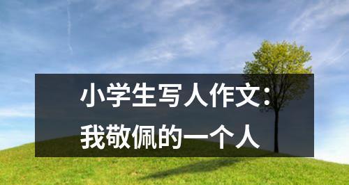 一个寂寞的爱好者（探讨一个独特个体的思想和情感）