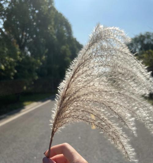 那一天阳光好温暖