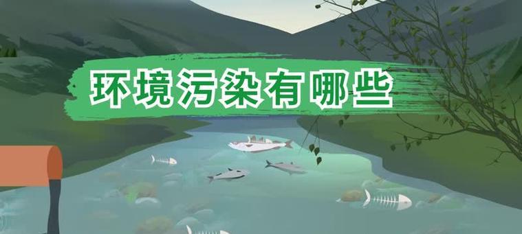 环境的倒退（污染的代价）