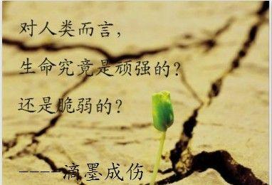 爱与理解（真正理解亲情的故事）