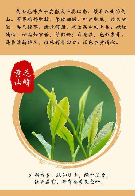 《茶隐情深》