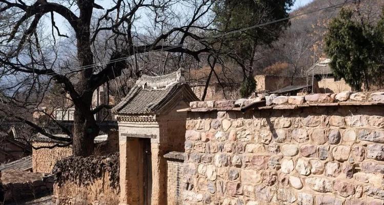 故乡飘落的回忆（人生在故乡）