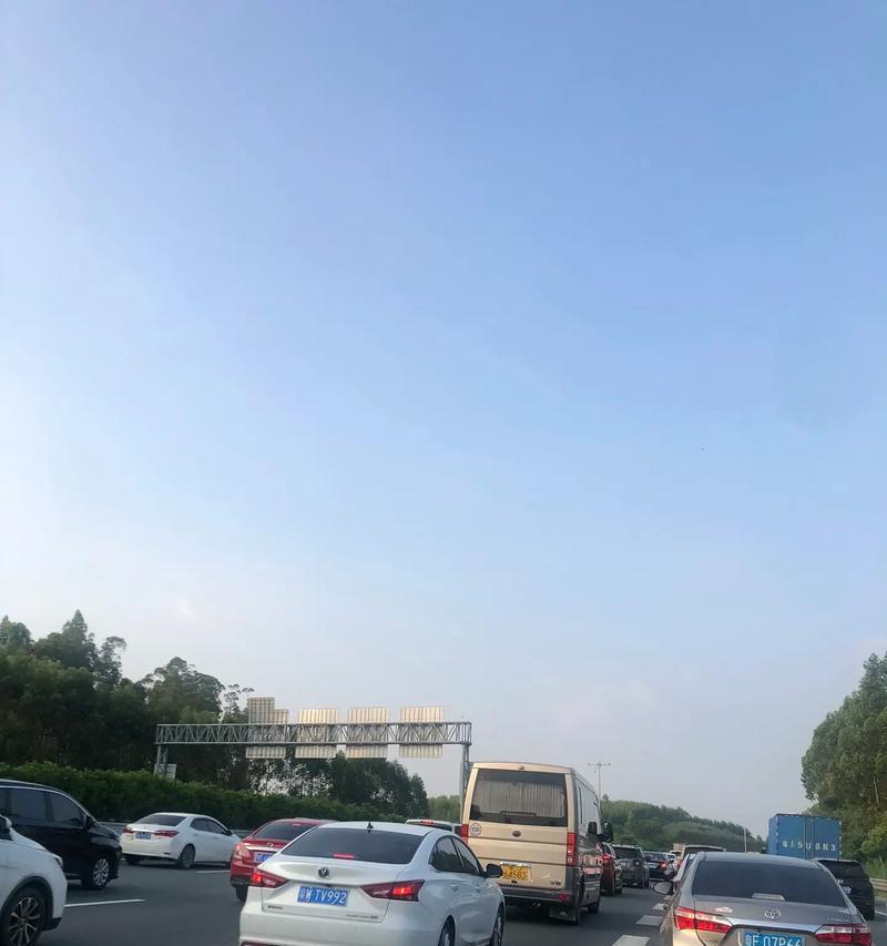 美妙的乐章（一个小提琴家的故事）